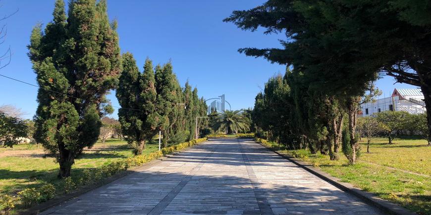 خربد زمین متراژ بالا